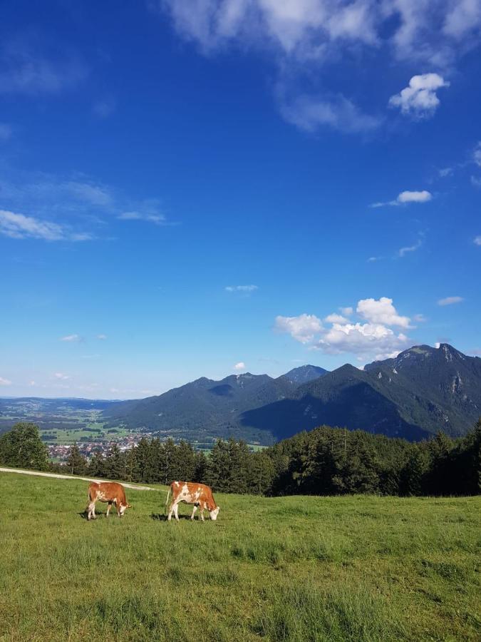 Ferienhaus Chiemgauer Auszeit- Chiemgaukarte Inclusive Siegsdorf Exterior foto